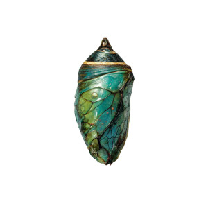 Butterfly Chrysalis V2 Vinyl Car Decal Sticker – Waterproof & UV-Resistant 3.4133333333333336"
