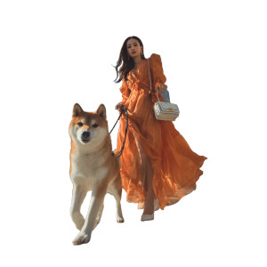 Fashionable Asian Girl V6 Vinyl Car Decal Sticker – Waterproof & UV-Resistant 6.826666666666667"