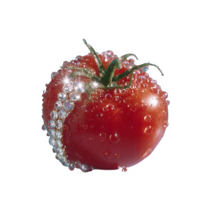 Jewel Tomato Vinyl Car Decal Sticker – Waterproof & UV-Resistant 3.4133333333333336"