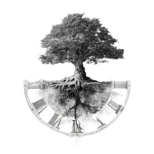 Timeless Tree Vinyl Car Decal Sticker – Waterproof & UV-Resistant 3.4133333333333336"