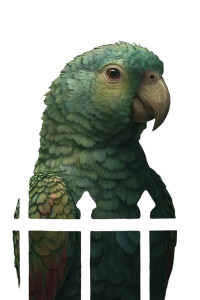 Fantasy Parrot Portrait Vinyl Car Decal Sticker – Waterproof & UV-Resistant 4.4