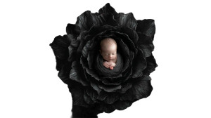 Black Flower Newborn Vinyl Car Decal Sticker – Waterproof & UV-Resistant 5.4