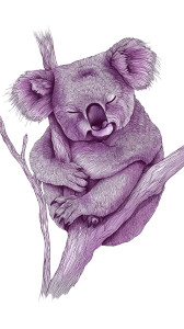 Sleepy Koala V2 Vinyl Car Decal Sticker – Waterproof & UV-Resistant 4.8533333333333335" Sleepy Koala V2 Vinyl Car Decal Sticker – Waterproof & UV-Resistant 4.8533333333333335"