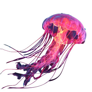 Glowing Pink Jellyfish V2 Vinyl Car Decal Sticker – Waterproof & UV-Resistant 6.826666666666667"