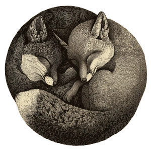 Fox And Squirrel Sleep Vinyl Car Decal Sticker – Waterproof & UV-Resistant 3.4133333333333336" Fox And Squirrel Sleep Vinyl Car Decal Sticker – Waterproof & UV-Resistant 3.4133333333333336"