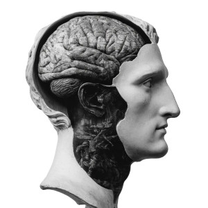 Cartoon Brain Head Vinyl Car Decal Sticker – Waterproof & UV-Resistant 3.4133333333333336"