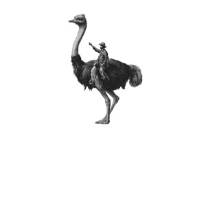 Ostrich Tree Vision Vinyl Car Decal Sticker – Waterproof & UV-Resistant 6.826666666666667"