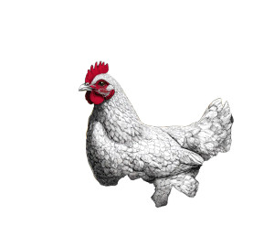 Farm Illustration Vinyl Car Decal Sticker – Waterproof & UV-Resistant 3.4133333333333336"