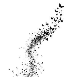 Skyward Butterflies V2 Vinyl Car Decal Sticker – Waterproof & UV-Resistant 6.826666666666667"