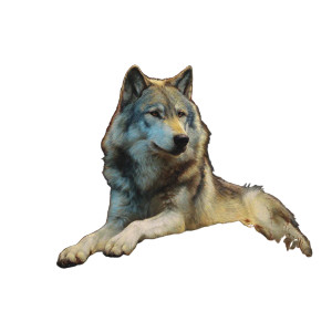 Majestic Wolf V6 Vinyl Car Decal Sticker – Waterproof & UV-Resistant 3.4133333333333336" Majestic Wolf V6 Vinyl Car Decal Sticker – Waterproof & UV-Resistant 3.4133333333333336"