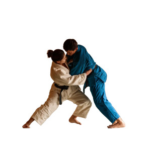 Judo Throw Moment Vinyl Car Decal Sticker – Waterproof & UV-Resistant 3.4133333333333336"