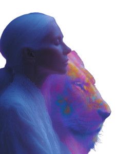 Psychedelic Lion Portrait Vinyl Car Decal Sticker – Waterproof & UV-Resistant 8.213333333333333"