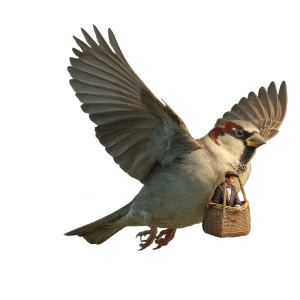 Sparrows With Bag Vinyl Car Decal Sticker – Waterproof & UV-Resistant 3.4133333333333336" Sparrows With Bag Vinyl Car Decal Sticker – Waterproof & UV-Resistant 3.4133333333333336"