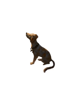 Magical Scrap Dog Vinyl Car Decal Sticker – Waterproof & UV-Resistant 4.373333333333333"