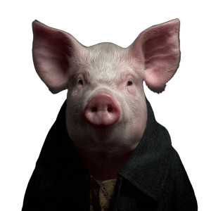 Pig V22 Vinyl Car Decal Sticker – Waterproof & UV-Resistant 3.4133333333333336"