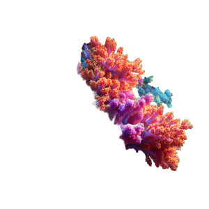 Vibrant Coral Reef V4 Vinyl Car Decal Sticker – Waterproof & UV-Resistant 3.4133333333333336"