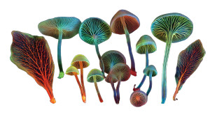 Glowing Mushrooms V3 Vinyl Car Decal Sticker – Waterproof & UV-Resistant 5.4