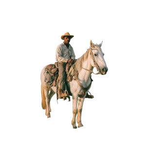 Man On Horse V2 Vinyl Car Decal Sticker – Waterproof & UV-Resistant 3.4133333333333336" Man On Horse V2 Vinyl Car Decal Sticker – Waterproof & UV-Resistant 3.4133333333333336"