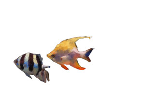 Tropical Reef Fish Vinyl Car Decal Sticker – Waterproof & UV-Resistant 3.0933333333333333"