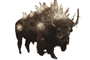 Magical Golden Bison Vinyl Car Decal Sticker – Waterproof & UV-Resistant 2.986666666666667"