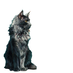 Hairy Cat Graffiti Vinyl Car Decal Sticker – Waterproof & UV-Resistant 3.4133333333333336"