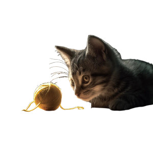 Kitten With Yarn Vinyl Car Decal Sticker – Waterproof & UV-Resistant 3.4133333333333336"