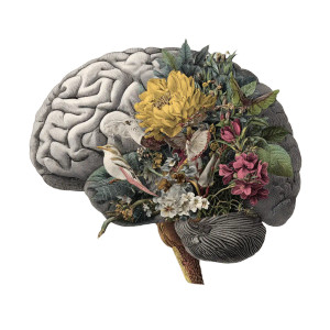Human Brain V5 Vinyl Car Decal Sticker – Waterproof & UV-Resistant 3.4133333333333336"
