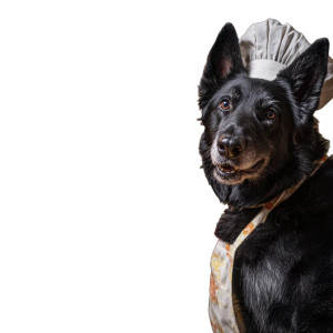 Chef Shepherd Dog Vinyl Car Decal Sticker – Waterproof & UV-Resistant 3.4133333333333336"