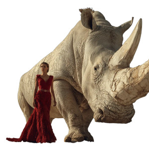 Elegant Rhino Companion V4 Vinyl Car Decal Sticker – Waterproof & UV-Resistant 3.4133333333333336"