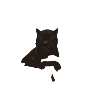 Angry Jungle Panther Vinyl Car Decal Sticker – Waterproof & UV-Resistant 3.4133333333333336"