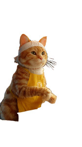 Festive Cat Chef Vinyl Car Decal Sticker – Waterproof & UV-Resistant 4.8533333333333335"