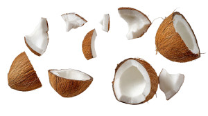 Broken Coconut Vinyl Car Decal Sticker – Waterproof & UV-Resistant 5.4 Broken Coconut Vinyl Car Decal Sticker – Waterproof & UV-Resistant 5.4