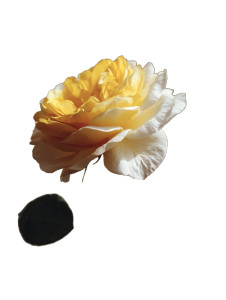 Yellow White Rose Vinyl Car Decal Sticker – Waterproof & UV-Resistant 4.1066666666666665"