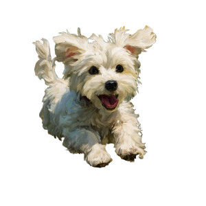 Maltese In Sunflowers Vinyl Car Decal Sticker – Waterproof & UV-Resistant 3.4133333333333336"