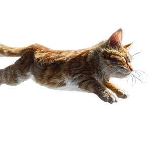 Flying Cat V3 Vinyl Car Decal Sticker – Waterproof & UV-Resistant 6.826666666666667" Flying Cat V3 Vinyl Car Decal Sticker – Waterproof & UV-Resistant 6.826666666666667"