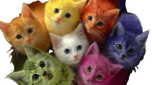 Colorful Kittens Bowl V2 Vinyl Car Decal Sticker – Waterproof & UV-Resistant 2.72"