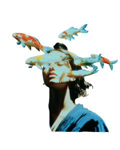 Mystical Koi Dance Vinyl Car Decal Sticker – Waterproof & UV-Resistant 8.0"