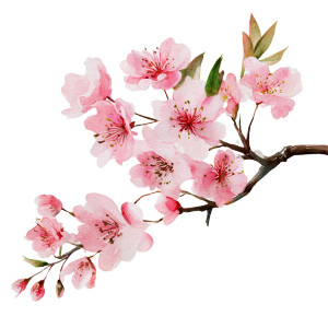 Cherry Blossom Branch V14 Vinyl Car Decal Sticker – Waterproof & UV-Resistant 6.826666666666667" Cherry Blossom Branch V14 Vinyl Car Decal Sticker – Waterproof & UV-Resistant 6.826666666666667"