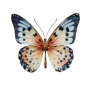Watercolor Butterfly V4 Vinyl Car Decal Sticker – Waterproof & UV-Resistant 3.4133333333333336" Watercolor Butterfly V4 Vinyl Car Decal Sticker – Waterproof & UV-Resistant 3.4133333333333336"