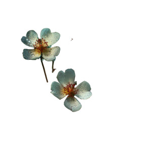Paul Barson Vinyl Car Decal Sticker – Waterproof & UV-Resistant 3.4133333333333336"