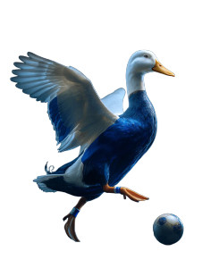 Football Duck Vinyl Car Decal Sticker – Waterproof & UV-Resistant 4.1066666666666665"