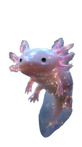 Magical Axolotl Vinyl Car Decal Sticker – Waterproof & UV-Resistant 4.8533333333333335"
