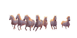 Majestic White Horses Vinyl Car Decal Sticker – Waterproof & UV-Resistant 5.12"