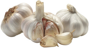 Realistic Garlic Vinyl Car Decal Sticker – Waterproof & UV-Resistant 2.72" Realistic Garlic Vinyl Car Decal Sticker – Waterproof & UV-Resistant 2.72"