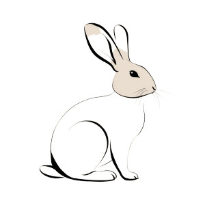 Minimalist Rabbit Vinyl Car Decal Sticker – Waterproof & UV-Resistant 3.4133333333333336" Minimalist Rabbit Vinyl Car Decal Sticker – Waterproof & UV-Resistant 3.4133333333333336"