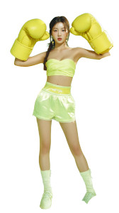 Lemon K-Pop Idol Vinyl Car Decal Sticker – Waterproof & UV-Resistant 9.706666666666667"