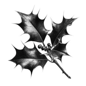 Realistic Holly Leaves Vinyl Car Decal Sticker – Waterproof & UV-Resistant 3.4133333333333336"