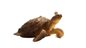 Golden Crowned Turtle Vinyl Car Decal Sticker – Waterproof & UV-Resistant 5.4