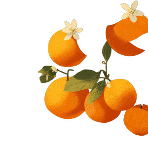 Orange Blossom Bunches Vinyl Car Decal Sticker – Waterproof & UV-Resistant 3.4133333333333336"