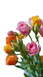 Colorful Flower Bouquets Vinyl Car Decal Sticker – Waterproof & UV-Resistant 9.706666666666667" Colorful Flower Bouquets Vinyl Car Decal Sticker – Waterproof & UV-Resistant 9.706666666666667"